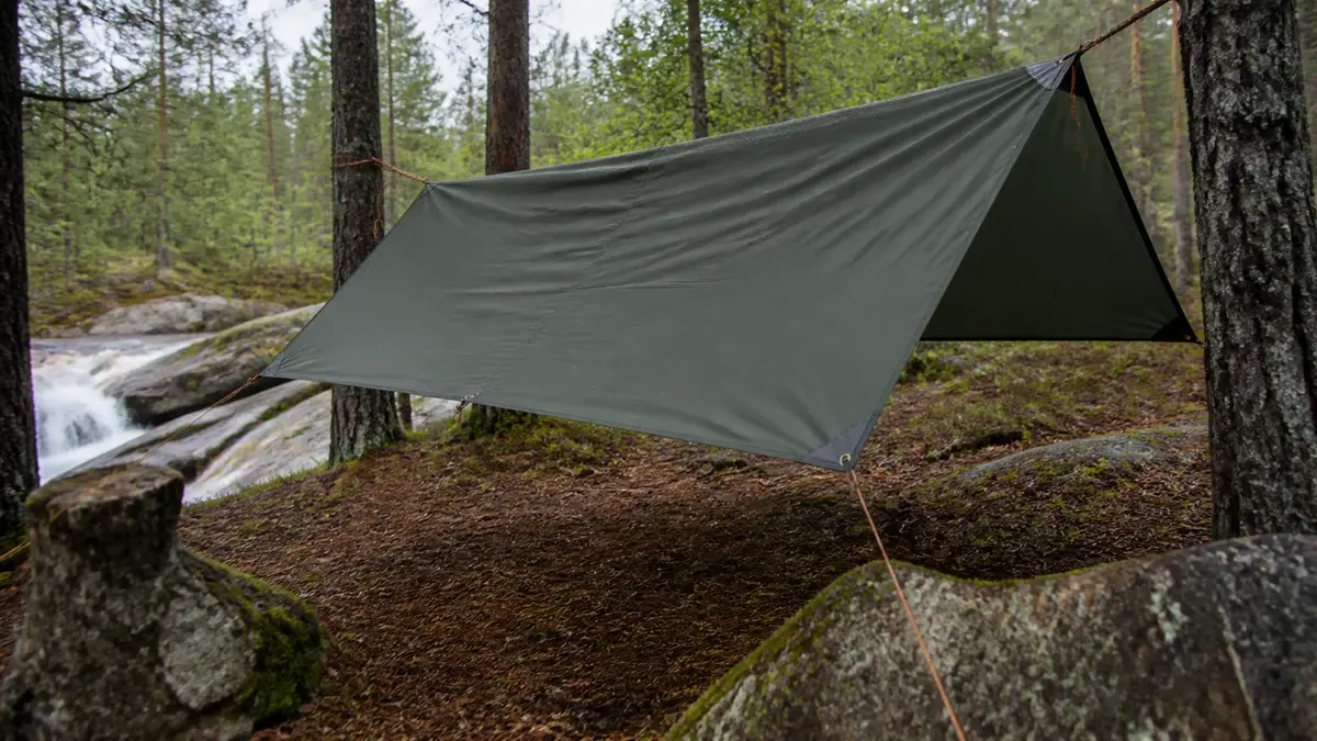 Mørkegrønn tarp stramt spent mellom furutrær ved en liten elv